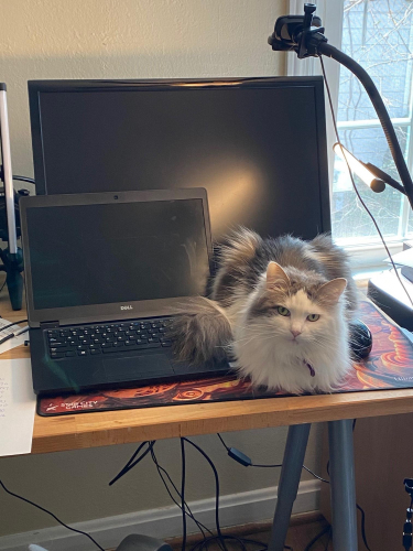 14b093439c4a11c6d350d1f27e076026-huge-at