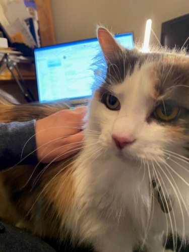 5b65ab95671003c4bbeb9b6b9629ac55-huge-mi