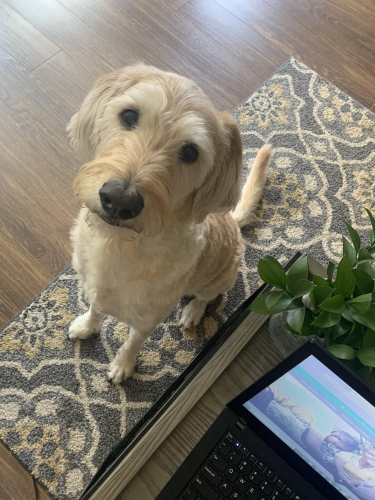 fb6c408dda01d7243c96e15d33fac0f5-huge-im