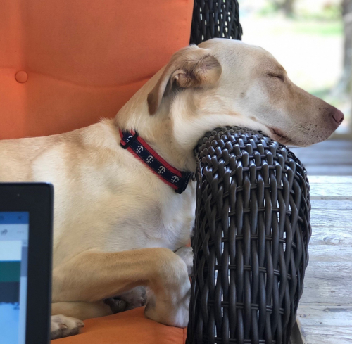 3ba6770db96b9ef48510091fcbfcf8d4-huge-bu