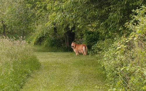 fe3d8a49525edddd3cd0152ca513f4c1-huge-sh