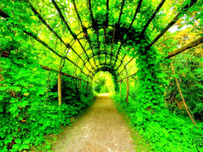 Image: https://us.v-cdn.net/6038506/uploads/editor/o5/t6mqy9t848hi.jpg