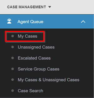 agent queue my cases