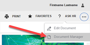 document manager menu item
