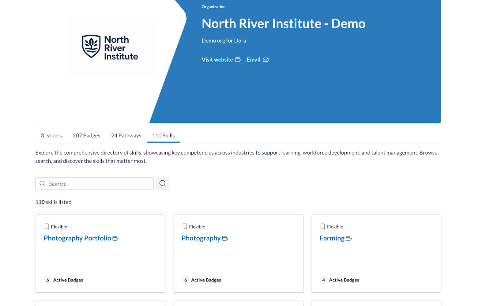 User View of Skills Page