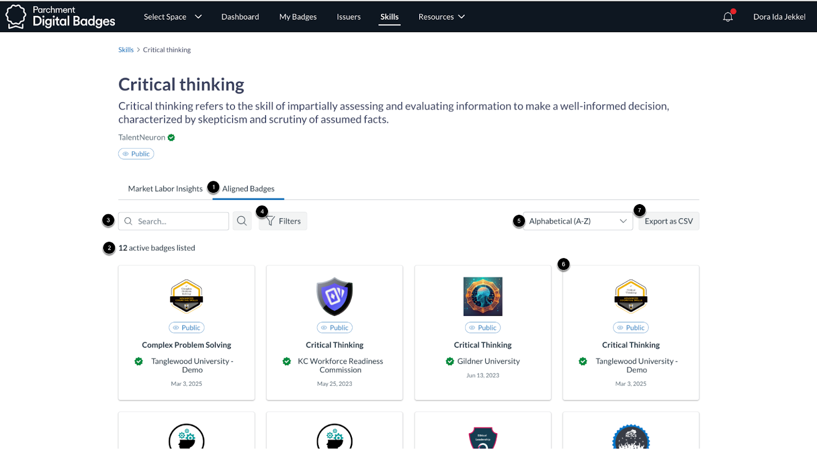 Skills Page Aligned Badges Tab
