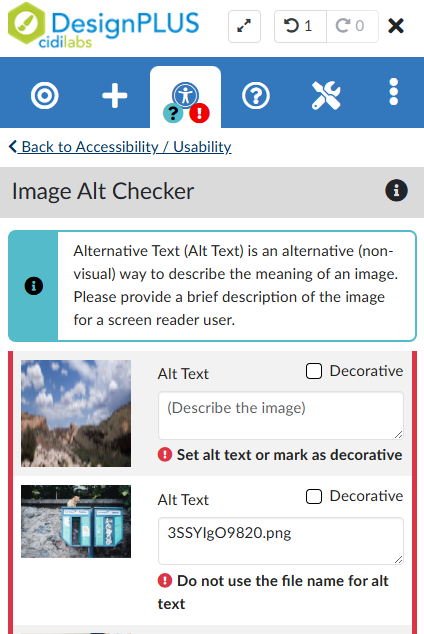 Image Alt Checker within the DesignPLUS Accessibility / Usability tab. Shows thumbnails of images. Each thumbnail has a box for Alt Text and a check box to mark the image as decorative.
