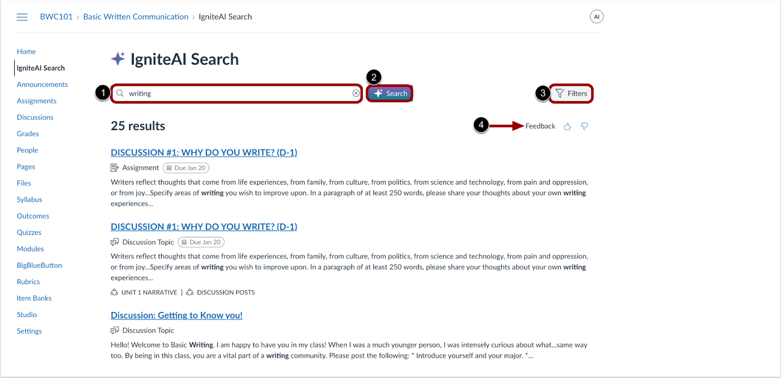 IgniteAI Search Page
