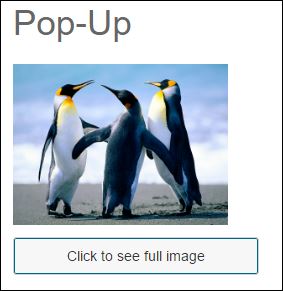 popup1.jpg popup1.jpg