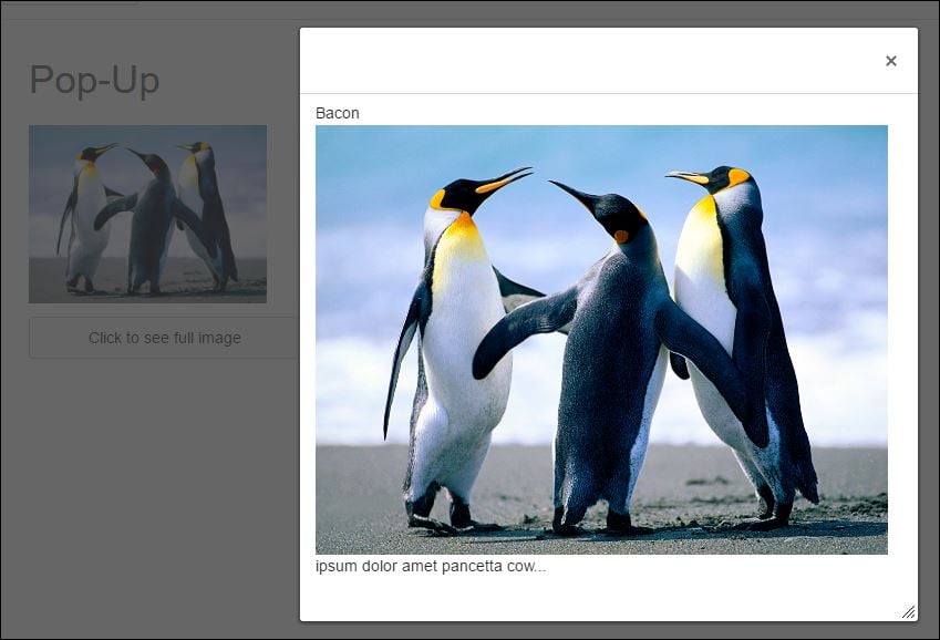 popup2.jpg popup2.jpg