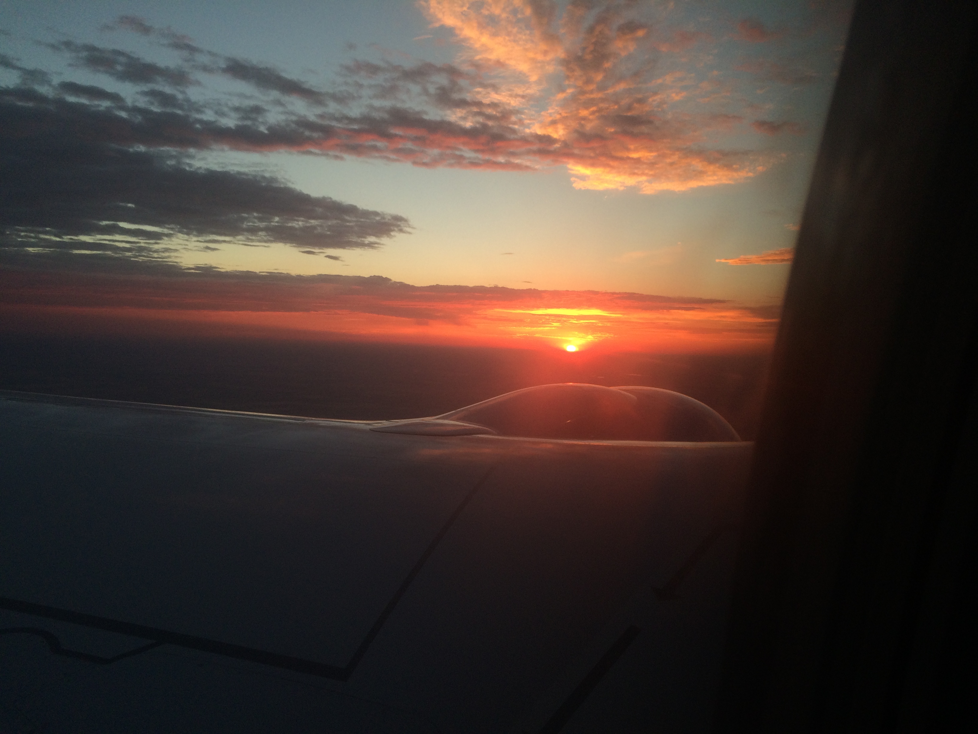 IMG_6416.JPG IMG_6416.JPG