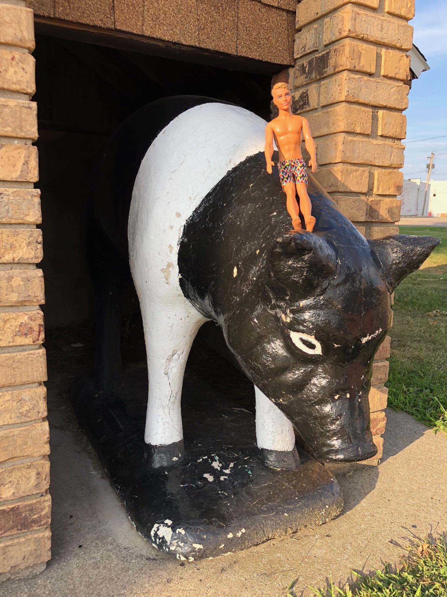 284636_IMG_1021.jpg 284636_IMG_1021.jpg