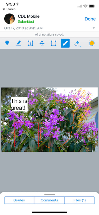 352204_IMG_31041933DA18-1.jpeg 352204_IMG_31041933DA18-1.jpeg