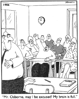 brain_full.gif brain_full.gif