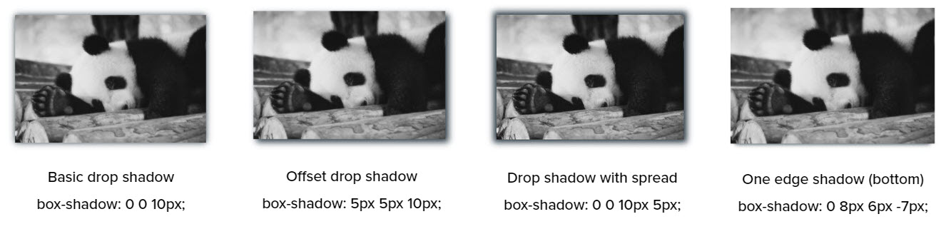 2021-05-06_14-59-14.jpg 2021-05-06_14-59-14.jpg