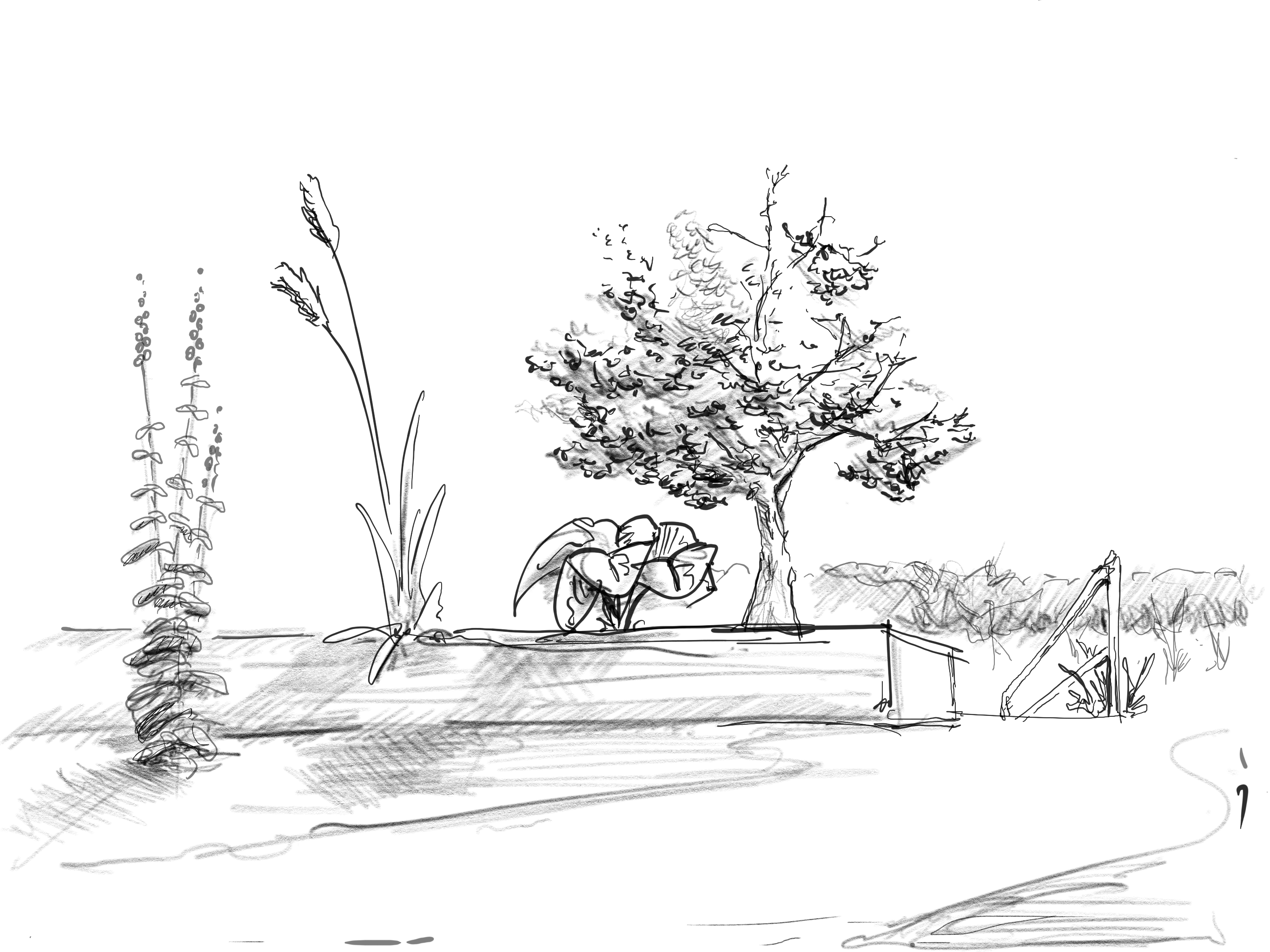 Image credit Shaun Moon