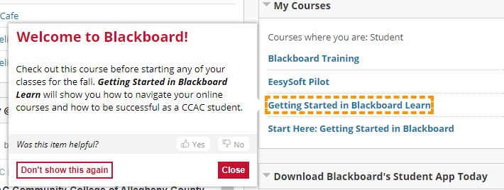 CCAC-hintmessageforBbstudentorientationcourse-Fall2020.jpg CCAC-hintmessageforBbstudentorientationcourse-Fall2020.jpg