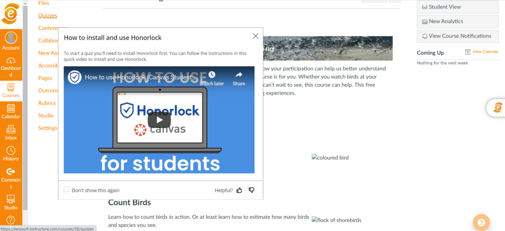 Honorlockhintmessage-1024x470.png Honorlockhintmessage-1024x470.png