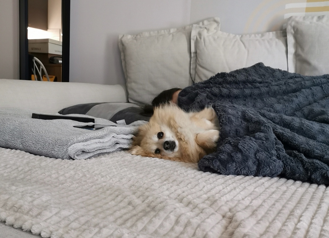 Screenshot_20220811_091431.jpg Screenshot_20220811_091431.jpg