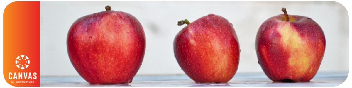 KristinL_0-1683218339052.png KristinL_0-1683218339052.png