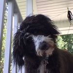 Photo of NicoletteStaley