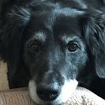 Photo of MartinWeninger