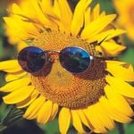 Photo of AlishaStearman