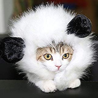 Photo of jlubkinchavez