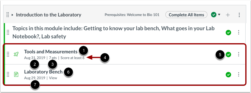 View Individual Module Item