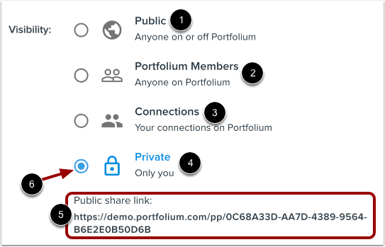 Set Project Visibility