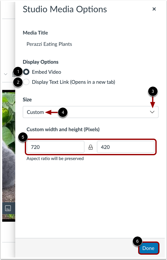 Studio Media Options Tray