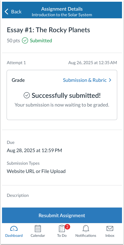 View Assignment Submission Details
