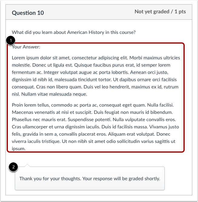 Student View for Essay Feedback