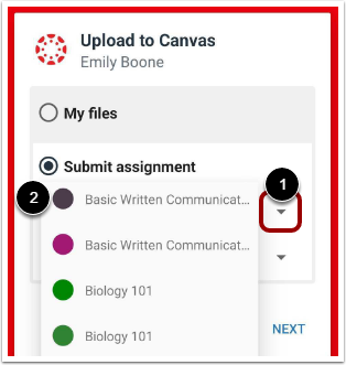 Select Submit Assignment