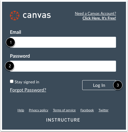 Log in to Canvas