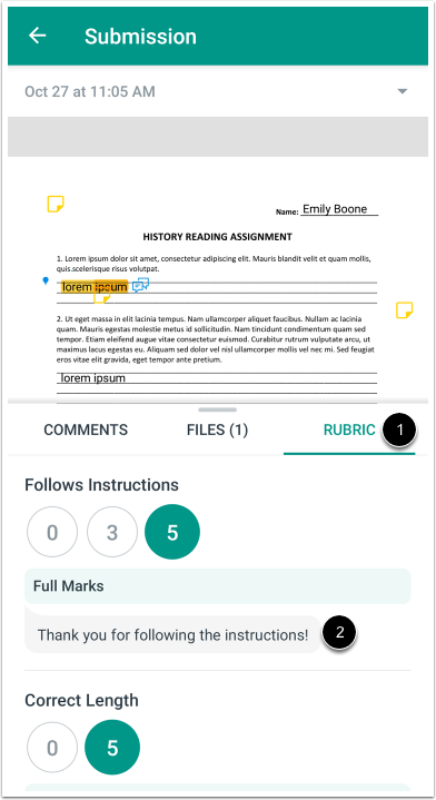 View Rubriic Comments