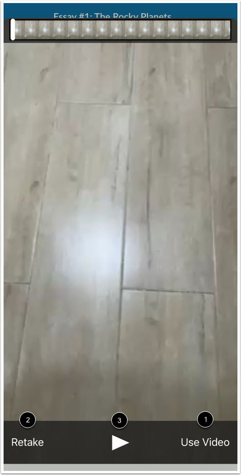 View Video Recording