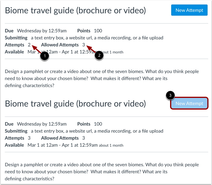 View Submission Attempts