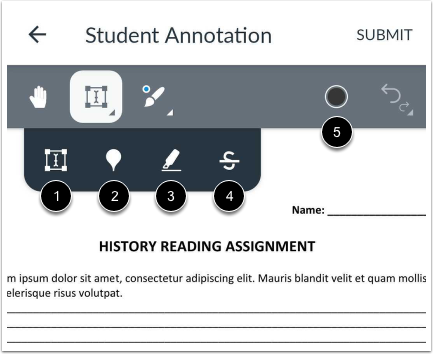 Use Text Format Options