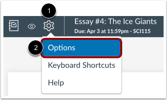 Open SpeedGrader Options