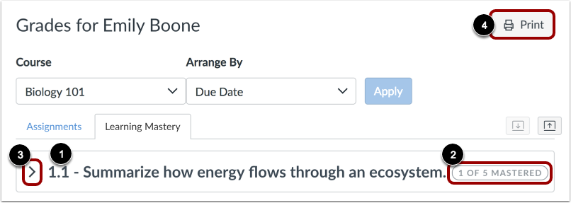 View Outcomes Overview