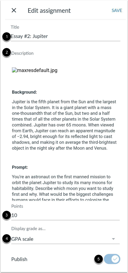 Edit Assignment Details