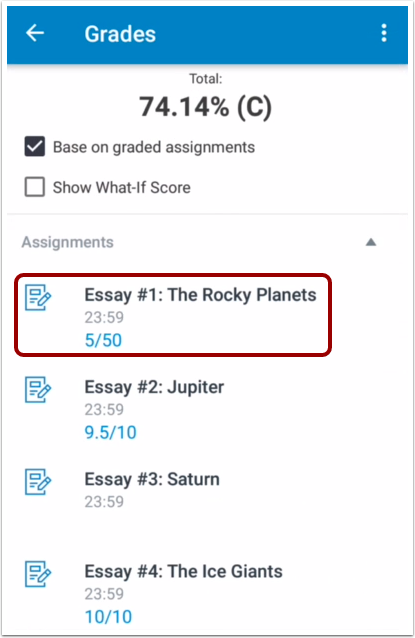 View Assignment Details