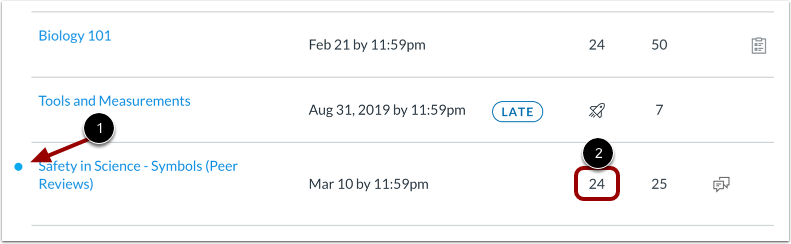 View Assignment Grade