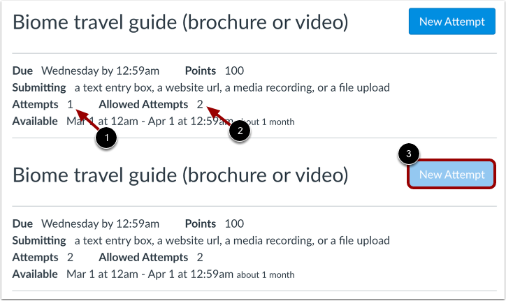 View Assignment with Limited Attempts