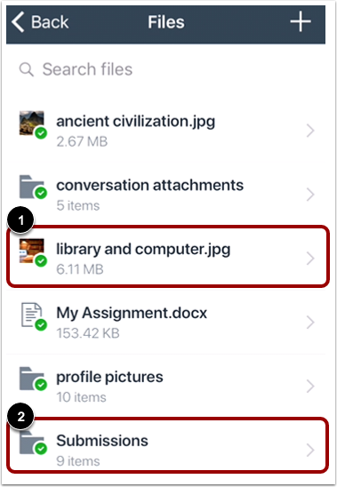 View Files and Folders