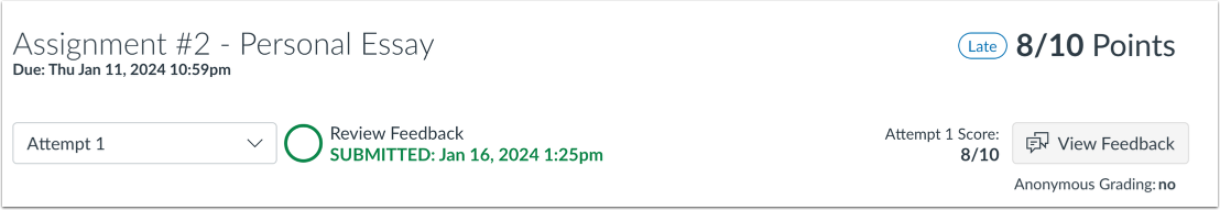 View Late Submission