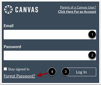 Log in to Canvas