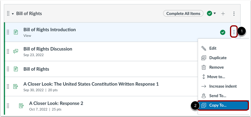 Open Module Item Options