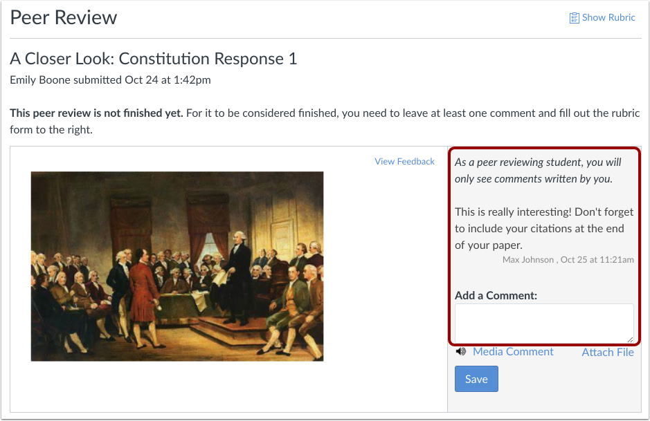 View Peer Review Comments